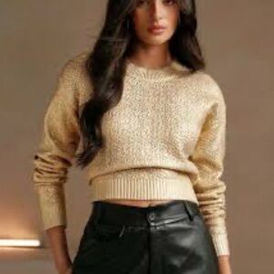 Anewsta Metallic Crop Long Sleeve Sweater Size Small EUC